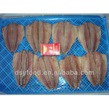 Filetes de caballa congelados